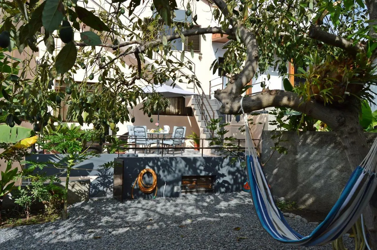 House In Funchal With Panoramic View 2-6 Villa Feriehus Funchal (Madeira)